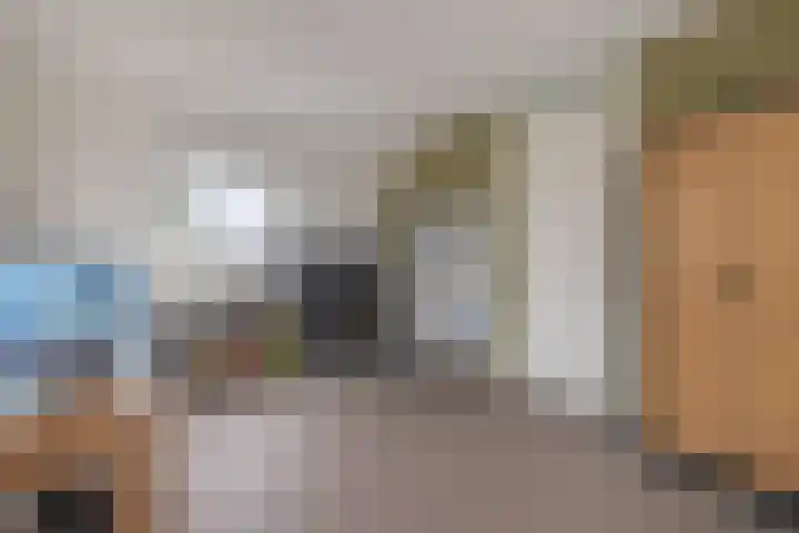 Volière 3 Ouderkerk aan den IJssel thumbnail 42