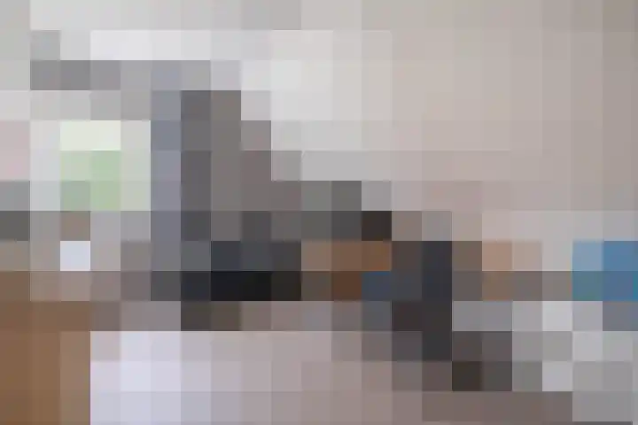 Volière 3 Ouderkerk aan den IJssel thumbnail 43