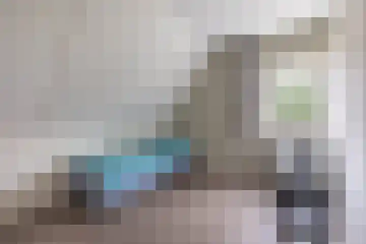 Volière 3 Ouderkerk aan den IJssel thumbnail 45