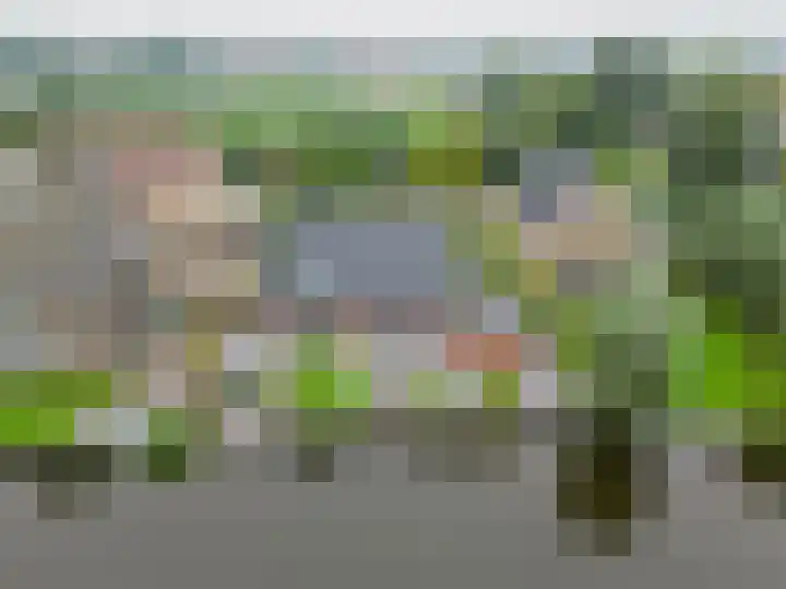Volière 3 Ouderkerk aan den IJssel thumbnail 50
