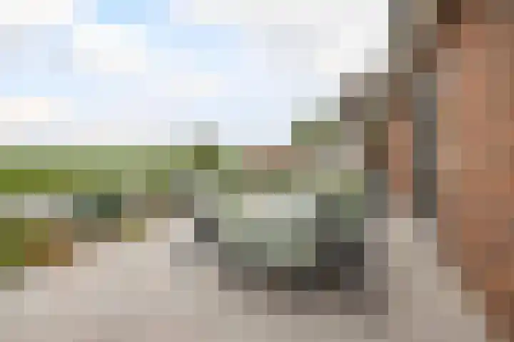 Volière 3 Ouderkerk aan den IJssel thumbnail 51