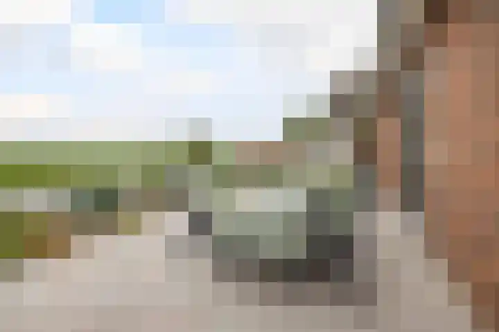 Volière 3 Ouderkerk aan den IJssel thumbnail 52