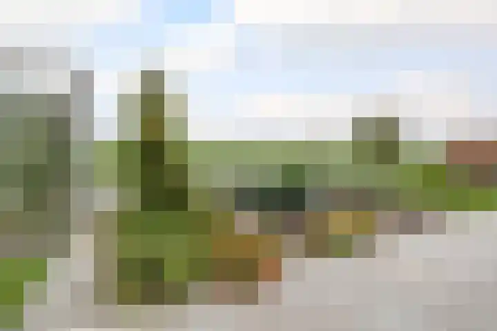 Volière 3 Ouderkerk aan den IJssel thumbnail 53
