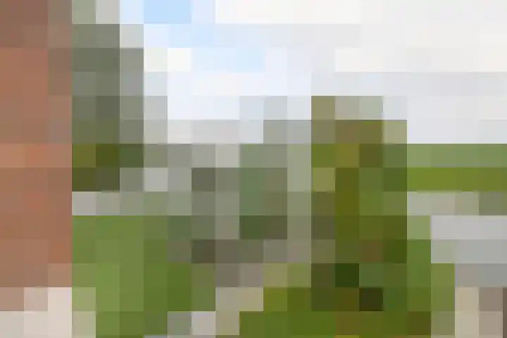 Volière 3 Ouderkerk aan den IJssel thumbnail 54
