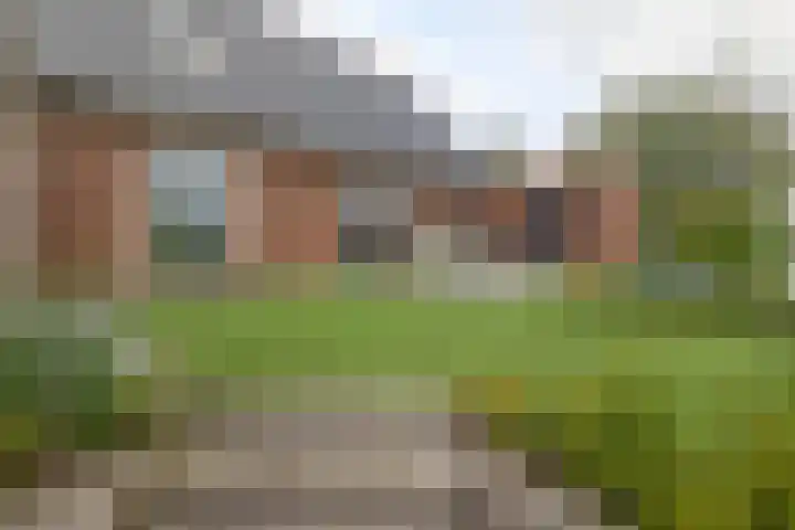 Volière 3 Ouderkerk aan den IJssel thumbnail 56