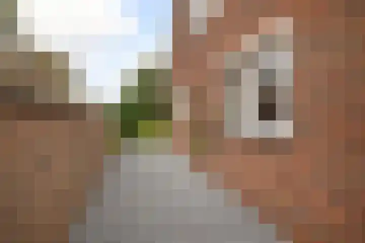 Volière 3 Ouderkerk aan den IJssel thumbnail 59