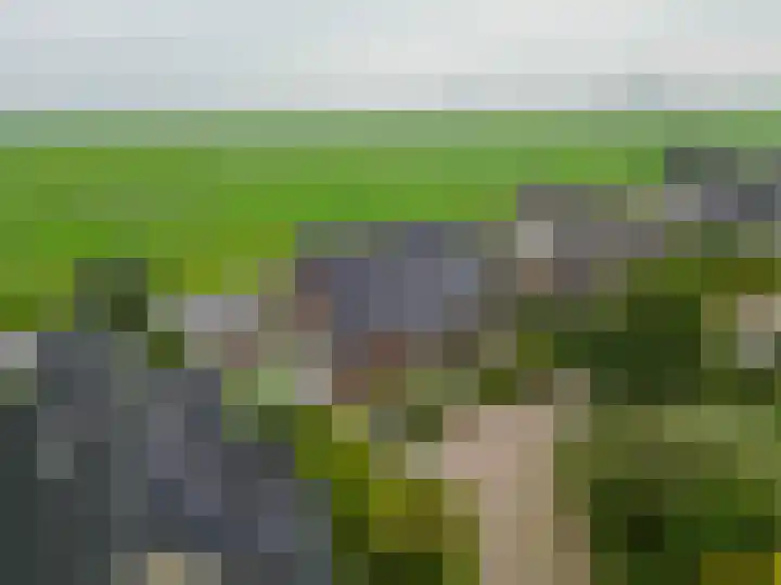 Volière 3 Ouderkerk aan den IJssel thumbnail 6