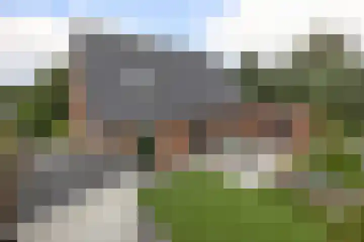 Volière 3 Ouderkerk aan den IJssel thumbnail 61
