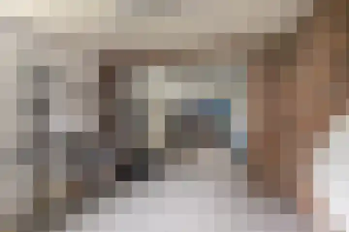 Volière 3 Ouderkerk aan den IJssel thumbnail 62