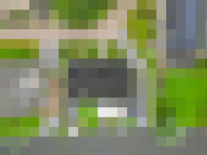 Volière 3 Ouderkerk aan den IJssel thumbnail 63