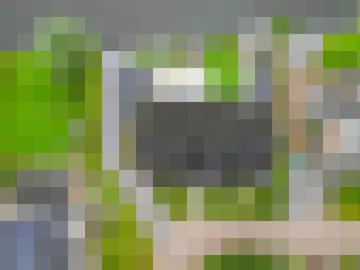 Volière 3 Ouderkerk aan den IJssel thumbnail 64