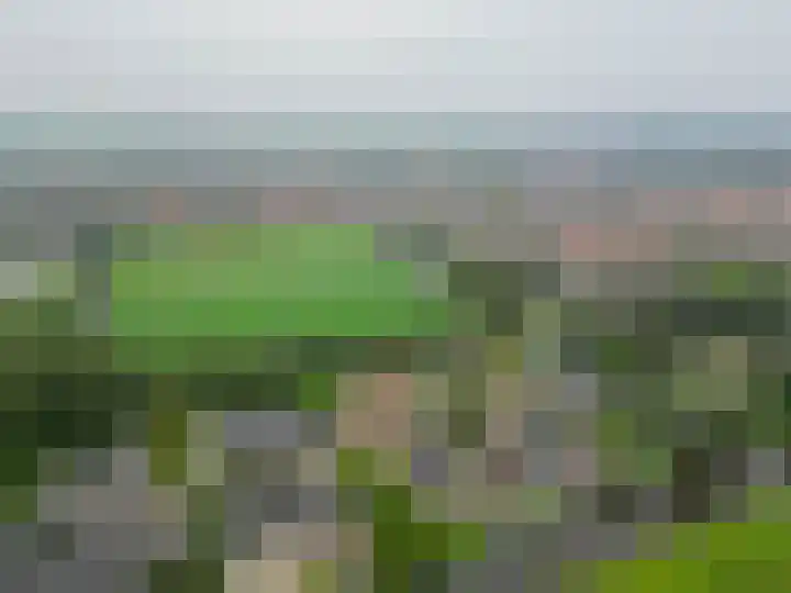 Volière 3 Ouderkerk aan den IJssel thumbnail 65