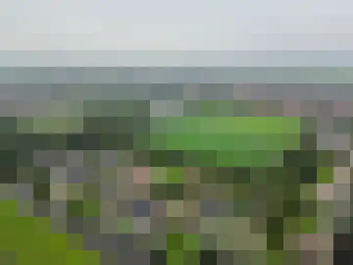 Volière 3 Ouderkerk aan den IJssel thumbnail 66