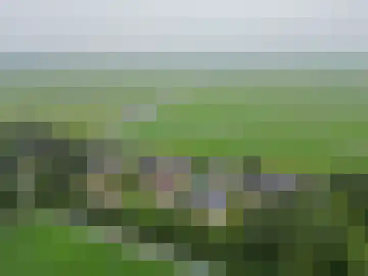 Volière 3 Ouderkerk aan den IJssel thumbnail 67