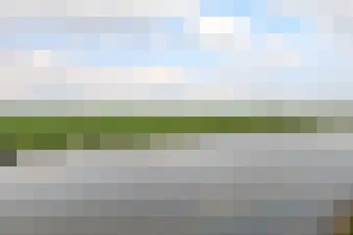 Volière 3 Ouderkerk aan den IJssel thumbnail 69