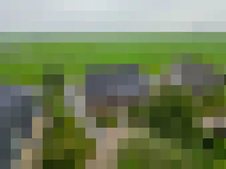 Volière 3 Ouderkerk aan den IJssel thumbnail 7