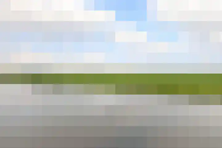 Volière 3 Ouderkerk aan den IJssel thumbnail 70