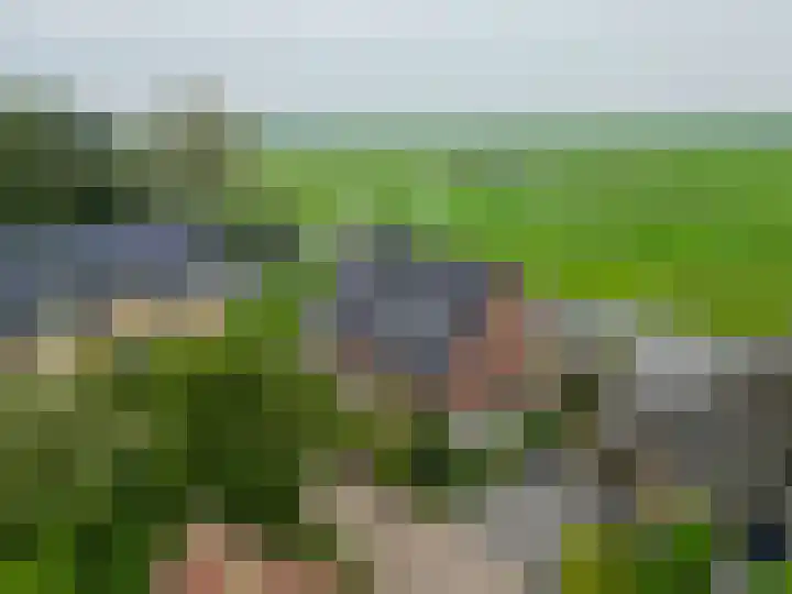 Volière 3 Ouderkerk aan den IJssel thumbnail 8
