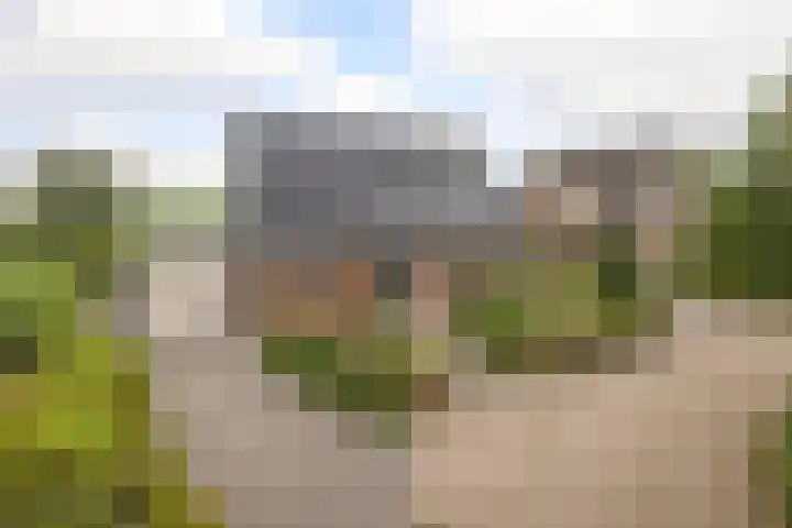 Volière 3 Ouderkerk aan den IJssel thumbnail 83