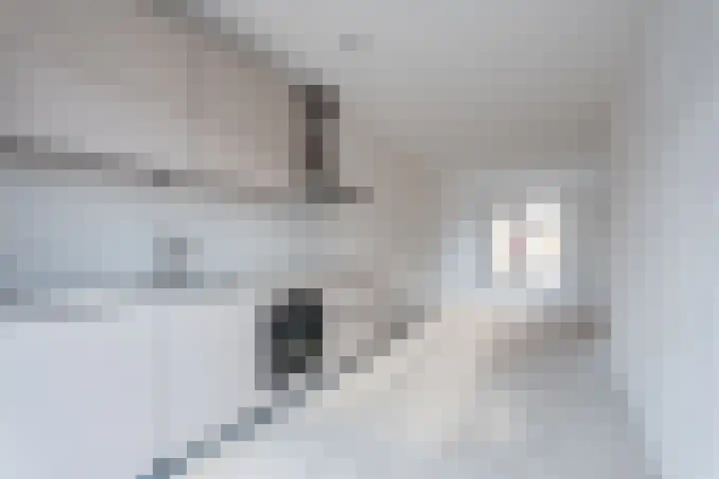Volkelseweg 22 A Uden thumbnail 13