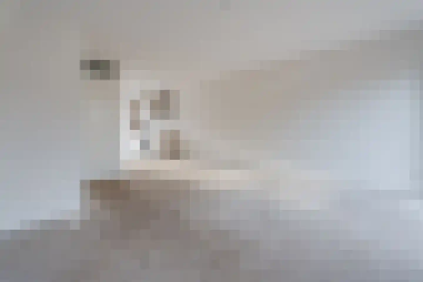 Volkelseweg 22 A Uden thumbnail 8