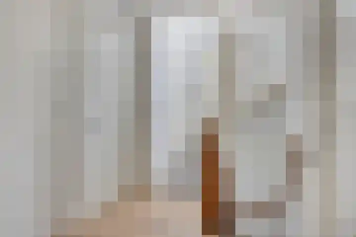 Volkelstraat 4 Tilburg thumbnail 31