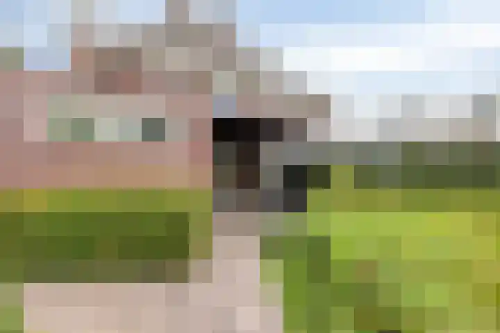 Volkelstraat 4 Tilburg thumbnail 38