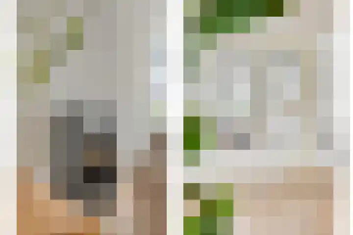 Volkelstraat 4 Tilburg thumbnail 8