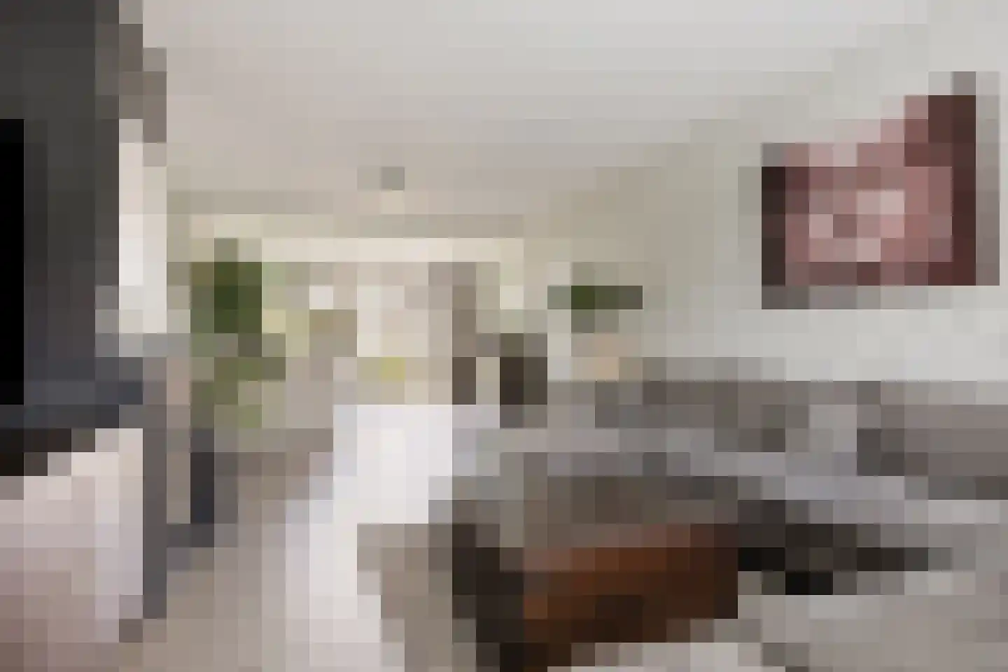 Volkerak 1 Alphen aan den Rijn thumbnail 10