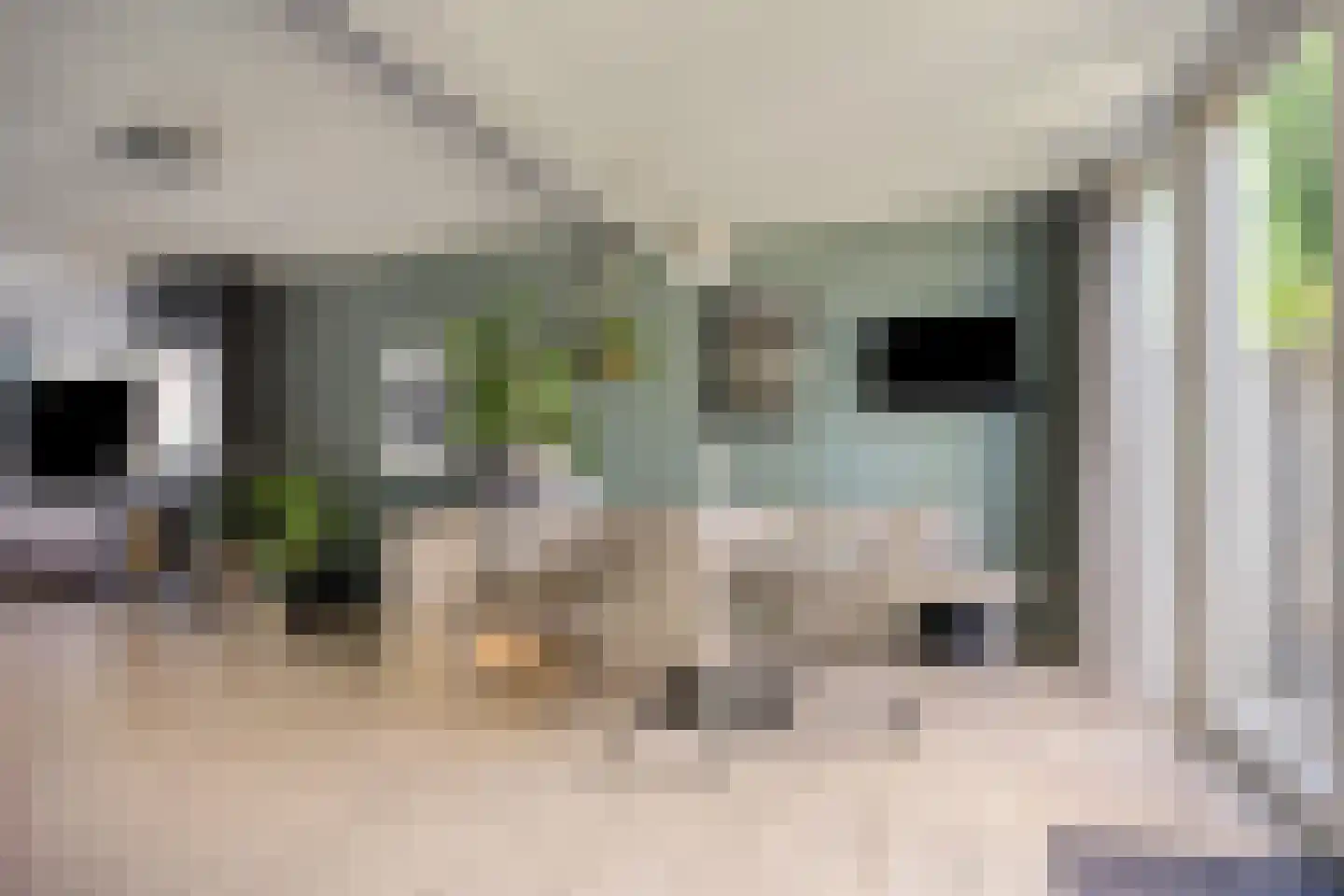 Volkerak 1 Alphen aan den Rijn thumbnail 17