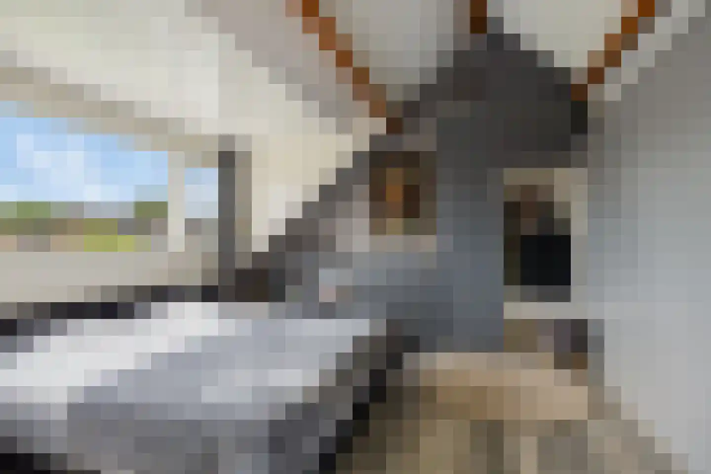 Volkerak 1 Alphen aan den Rijn thumbnail 30