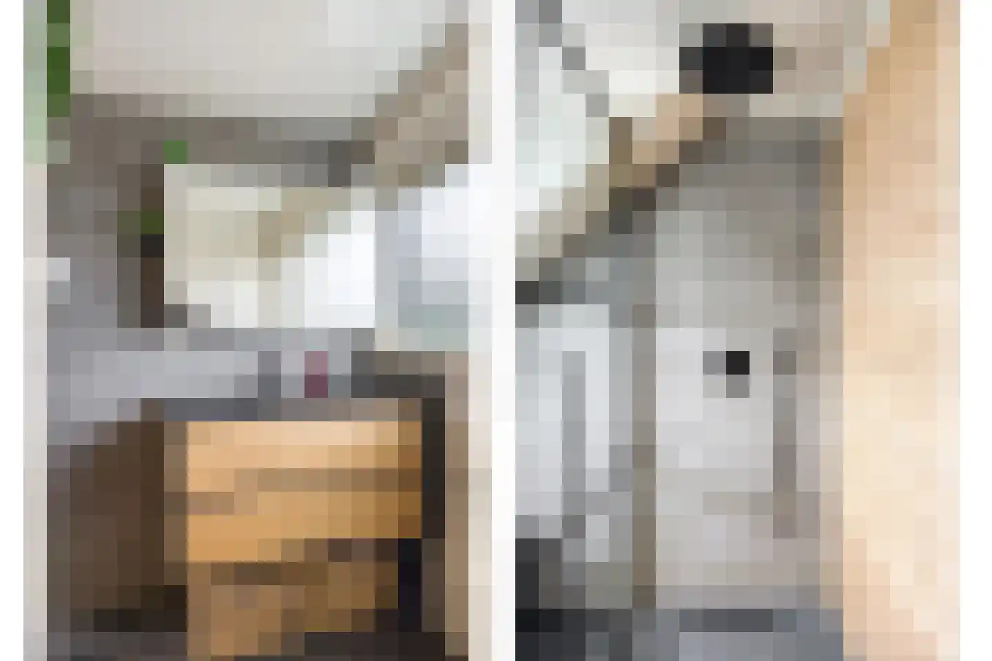 Volkerak 1 Alphen aan den Rijn thumbnail 38