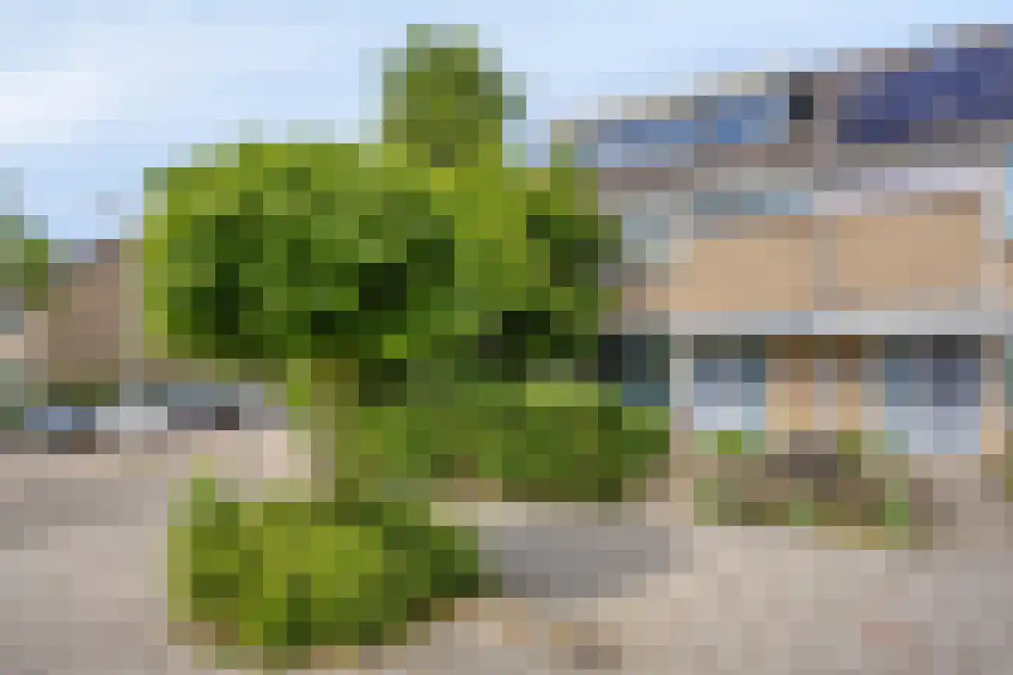Volkerak 1 Alphen aan den Rijn thumbnail 4