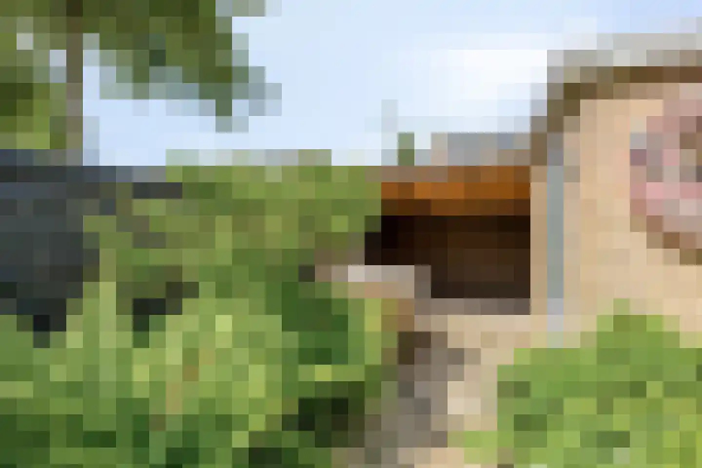 Volkerak 1 Alphen aan den Rijn thumbnail 44