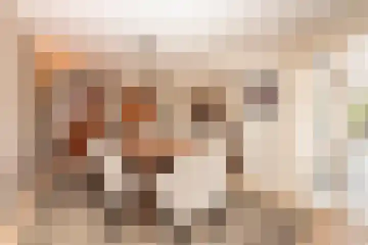 Volkerak 1 Tilburg thumbnail 11