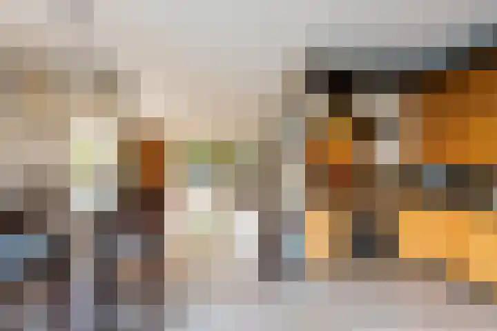 Volkerak 1 Tilburg thumbnail 19