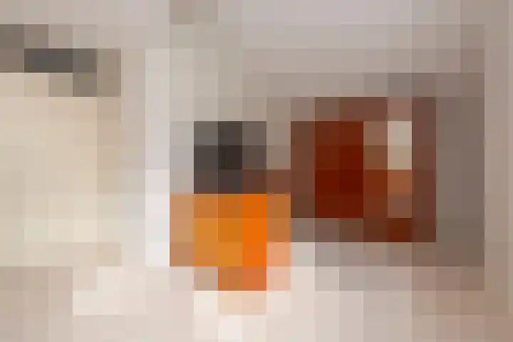 Volkerak 1 Tilburg thumbnail 24