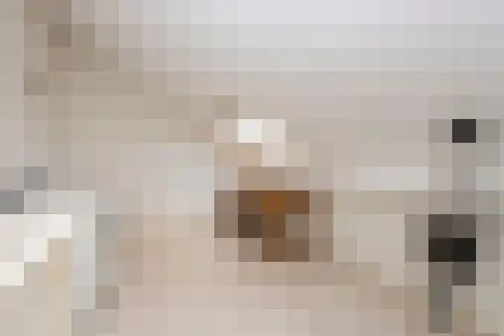 Volkerak 1 Tilburg thumbnail 33