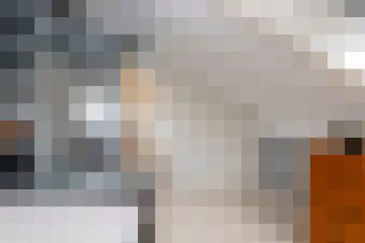 Volkerak 1 Tilburg thumbnail 34