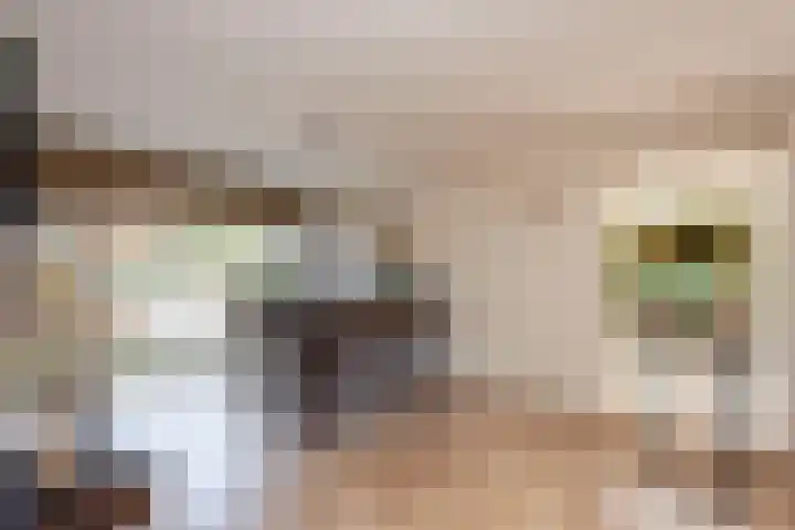 Volkerak 1 Tilburg thumbnail 4