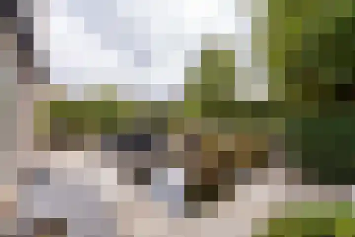 Volkerak 1 Tilburg thumbnail 40