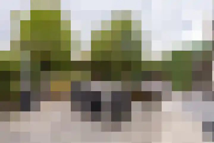 Volkerak 1 Tilburg thumbnail 41