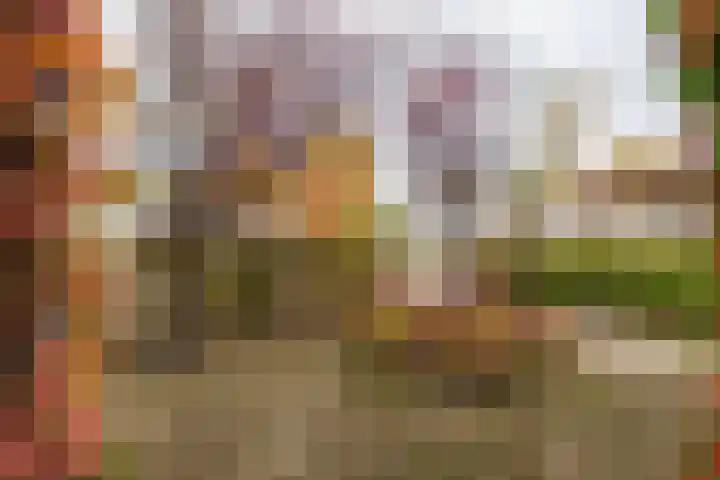 Volkerak 1 Tilburg thumbnail 43