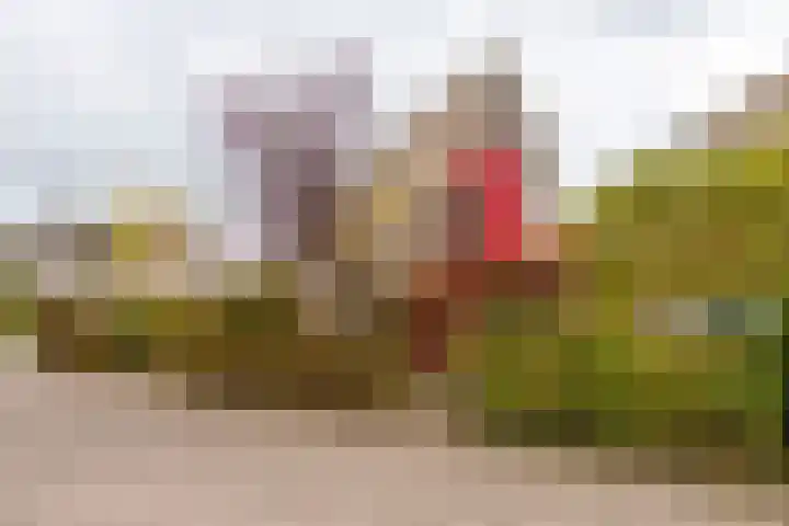 Volkerak 1 Tilburg thumbnail 44