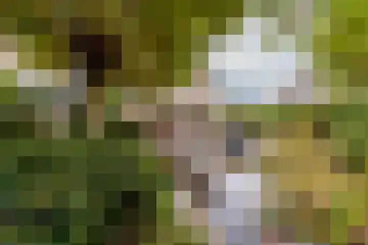 Volkerak 1 Tilburg thumbnail 5