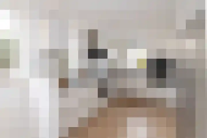 Volkerak 10 Tilburg thumbnail 14