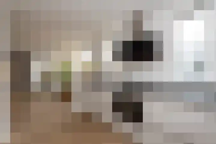 Volkerak 10 Tilburg thumbnail 16