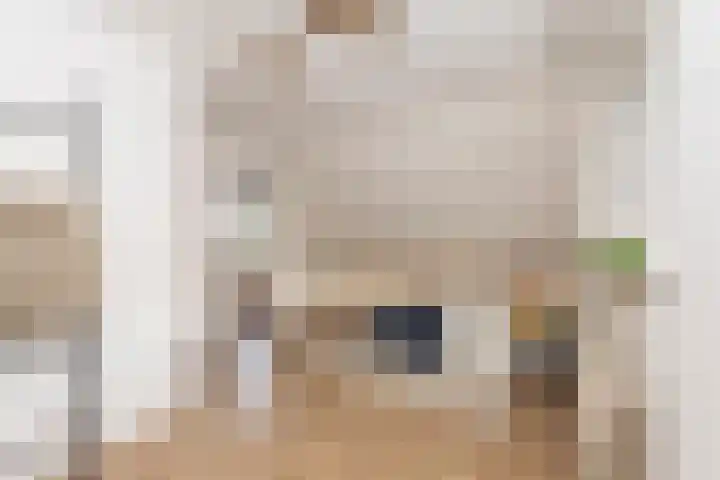 Volkerak 10 Tilburg thumbnail 36