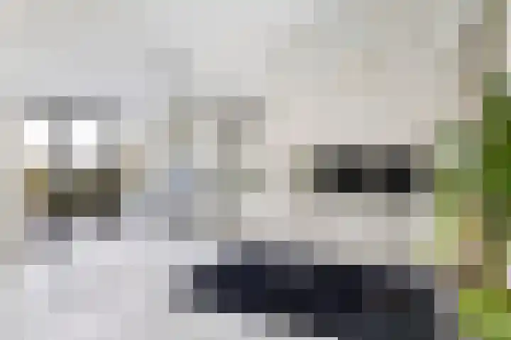 Volkerak 16 Zwijndrecht thumbnail 16