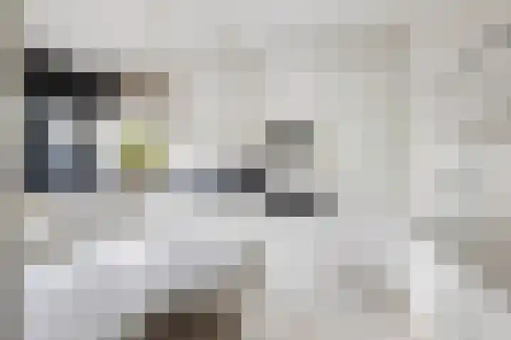 Volkerak 16 Zwijndrecht thumbnail 18